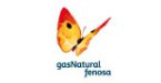 Ecoastur Gas Natural Fenosa